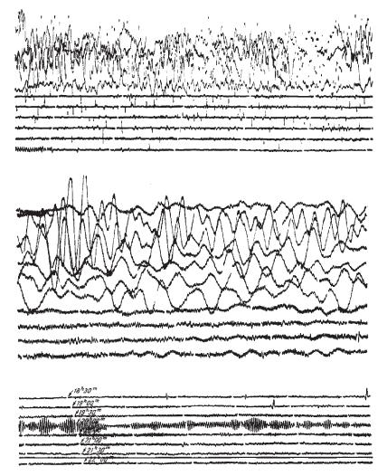 ������ ������ ������ ����� ��������� � ���.
������ �� ���������� � ���������� 30 �� � ������, �������
������ � �������� �����